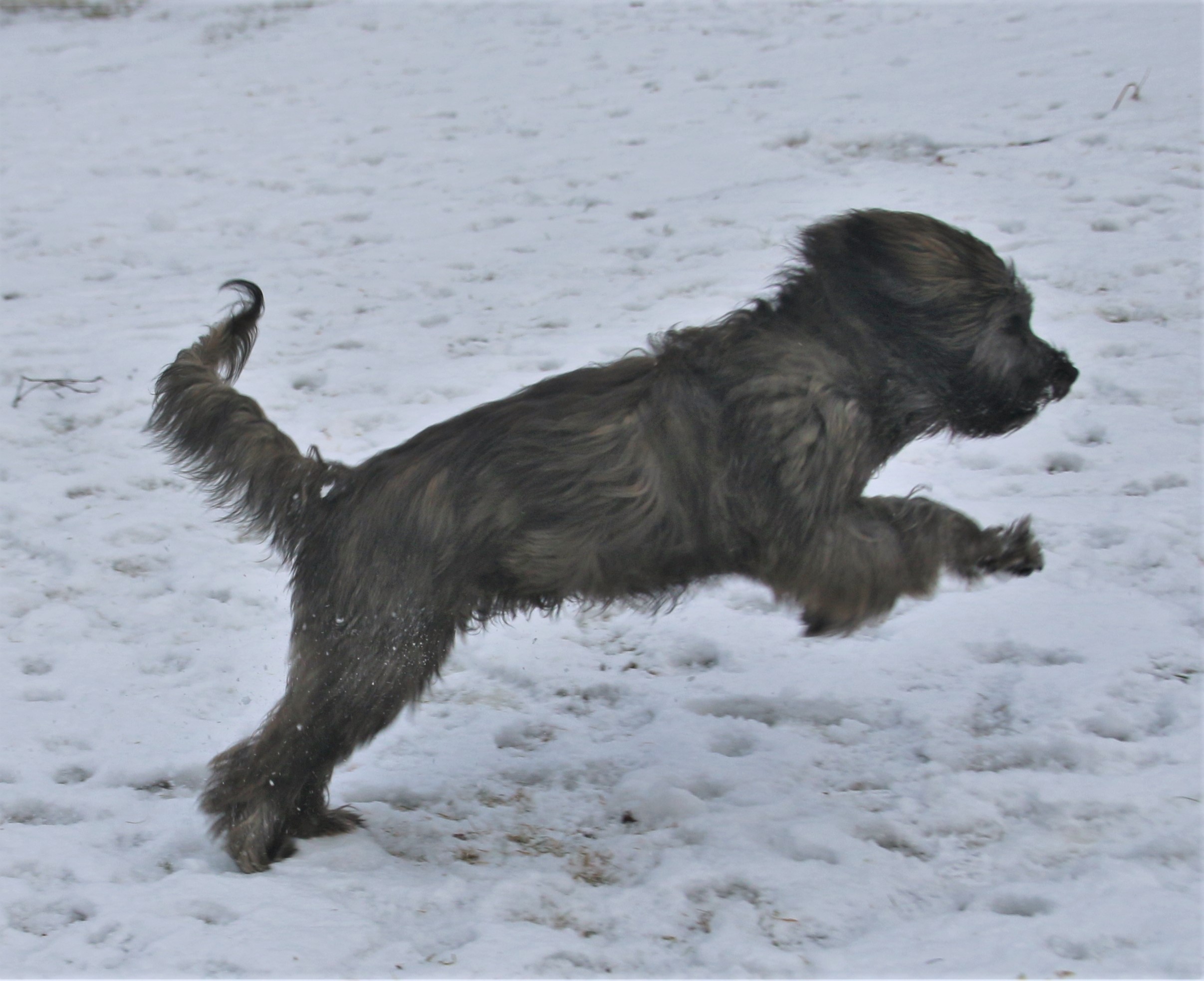 luna 7 mån 5