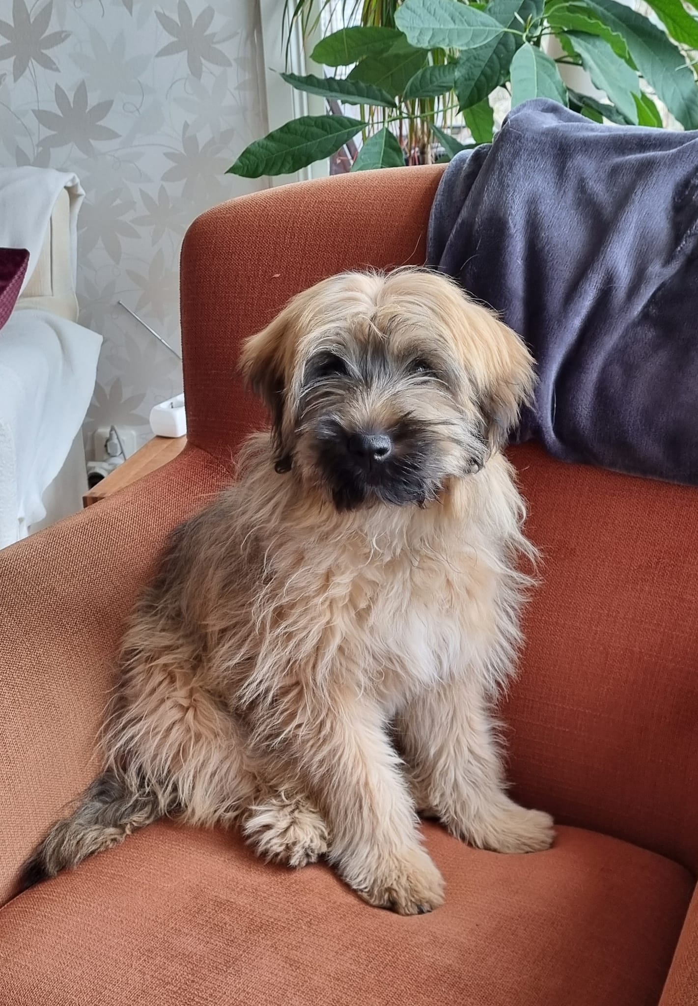 Mitsi 2022 (6)