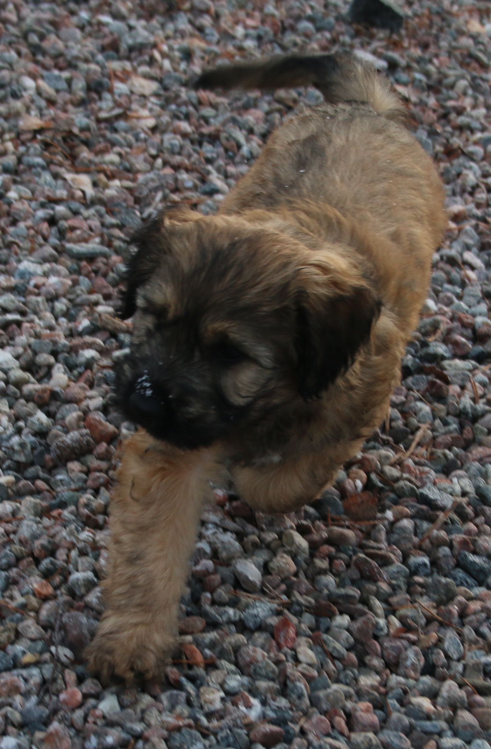Vecka 6